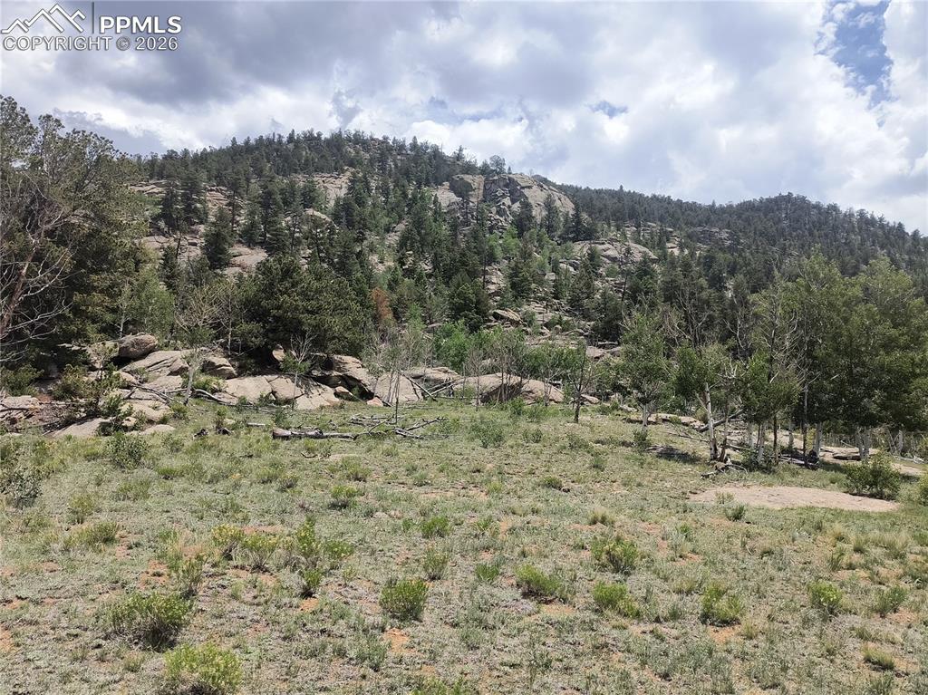 Image 10 of 20: View of mountain backdrop featuring a forest