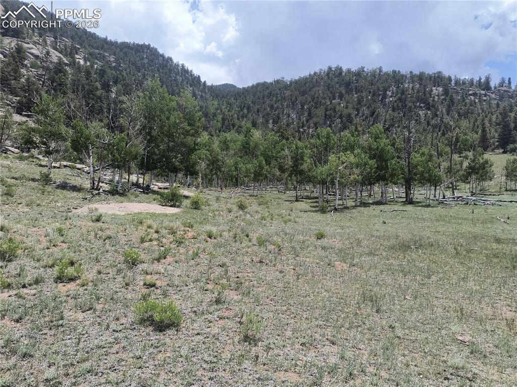 Image 11 of 20: View of mountain backdrop featuring a heavily wooded area