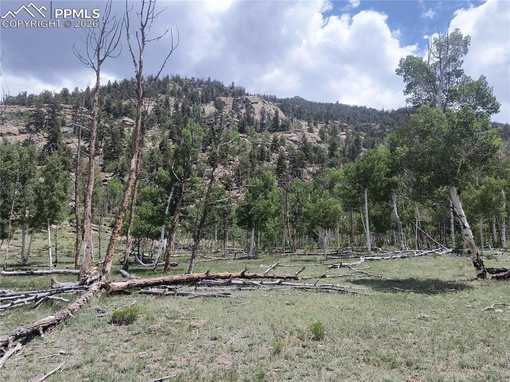 Image 12 of 20: View of mountain backdrop featuring a forest