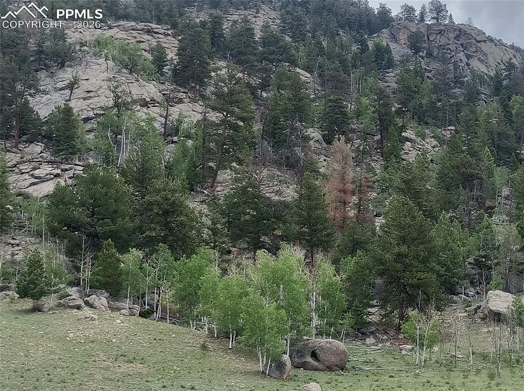 Image 15 of 20: View of local wilderness