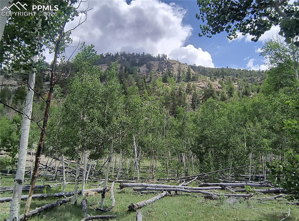 Image 16 of 20: View of mountain backdrop featuring a forest