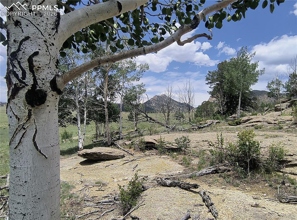 Image 17 of 20: Other