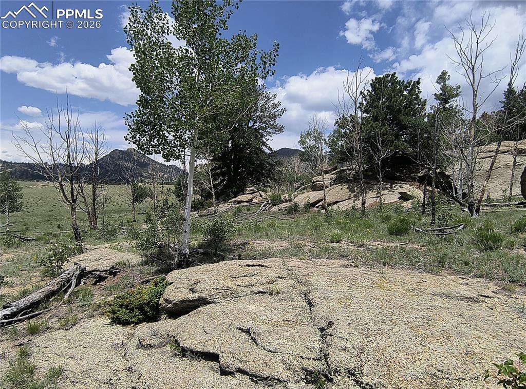Image 18 of 20: View of nature with a mountain backdrop