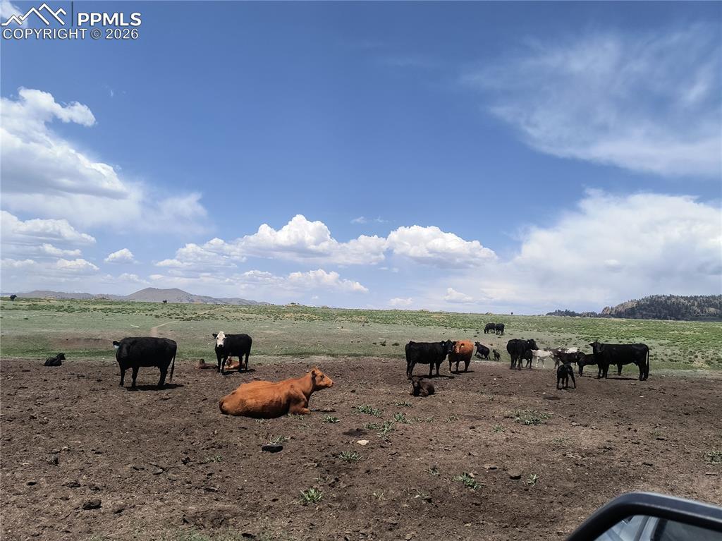 Image 20 of 20: View of home