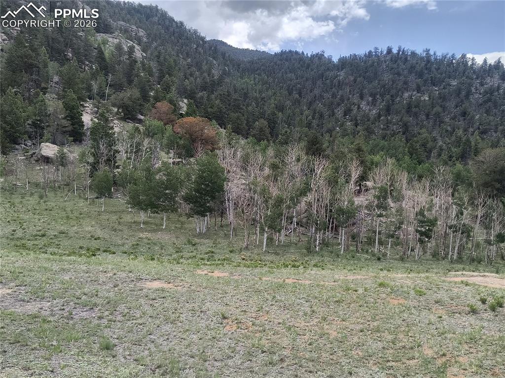 Image 6 of 20: View of mountain backdrop with a forest