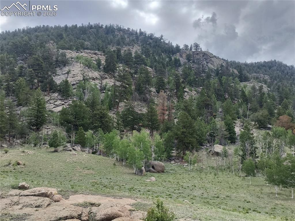 Image 7 of 20: Mountain view featuring a heavily wooded area