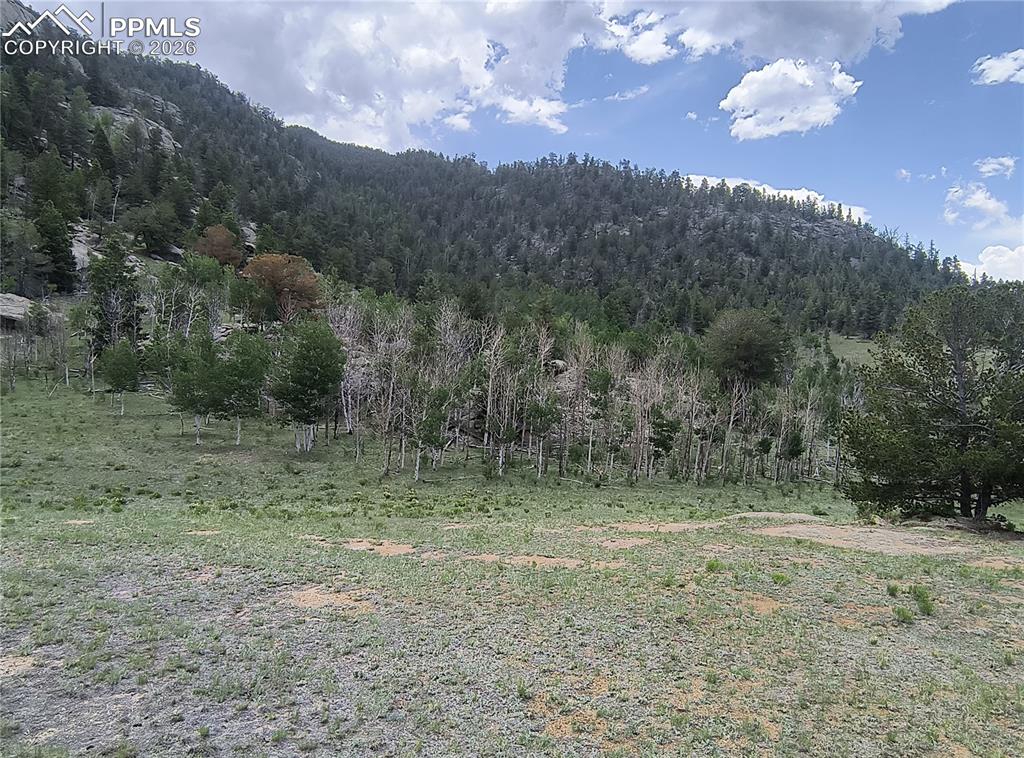 Image 9 of 20: View of mountain backdrop with a forest