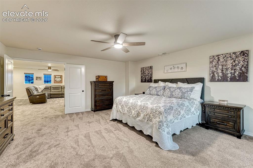 Image 44 of 49: Ceiling fan and french door entrance
