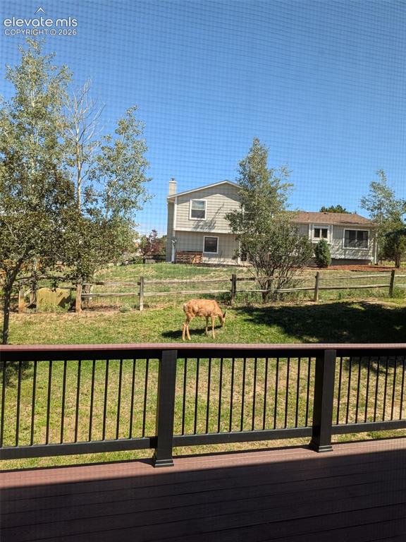 Image 46 of 47: Deer frequently visit the backyard
