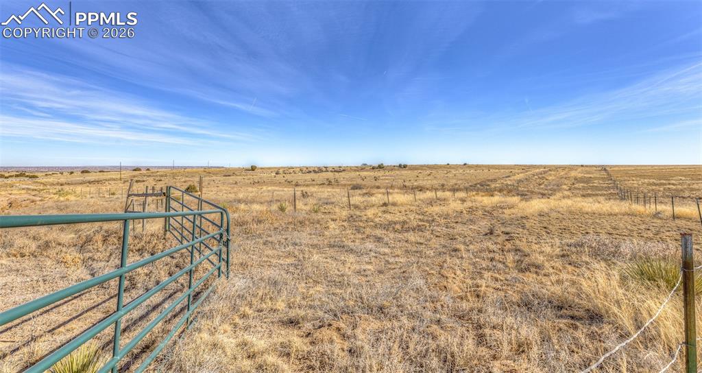 Image 10 of 15: Yard