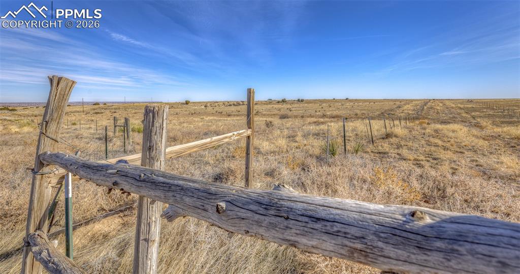 Image 11 of 15: Yard