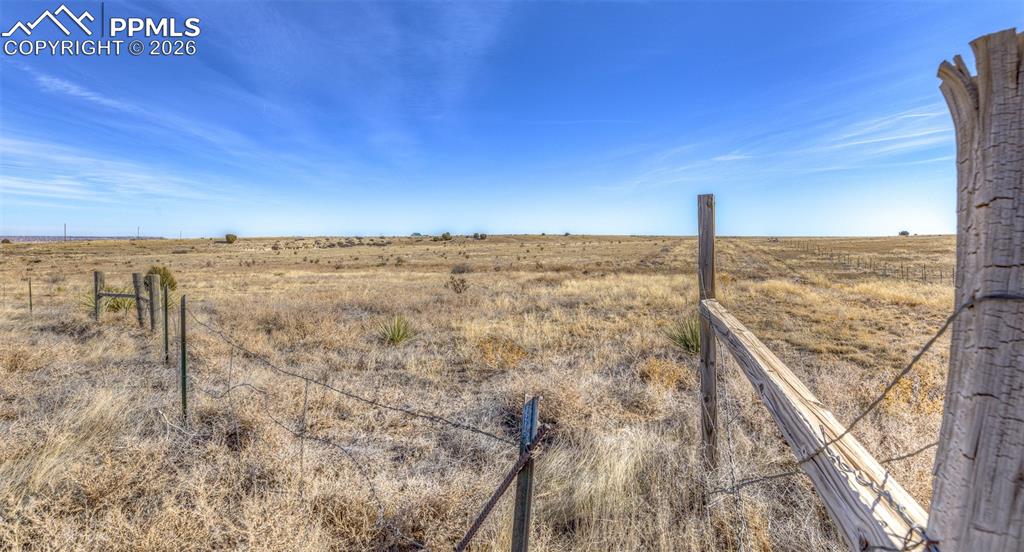 Image 12 of 15: Yard