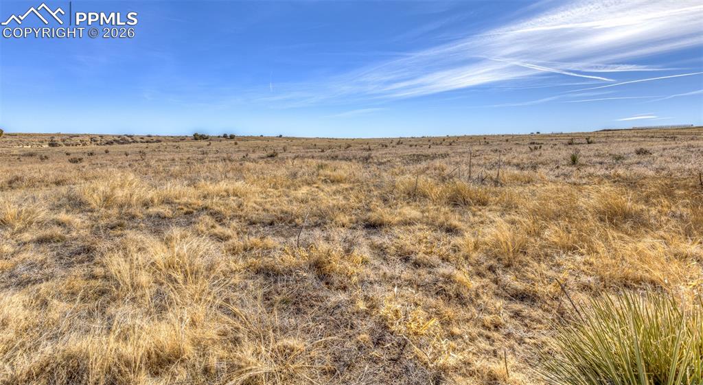 Image 9 of 15: Other