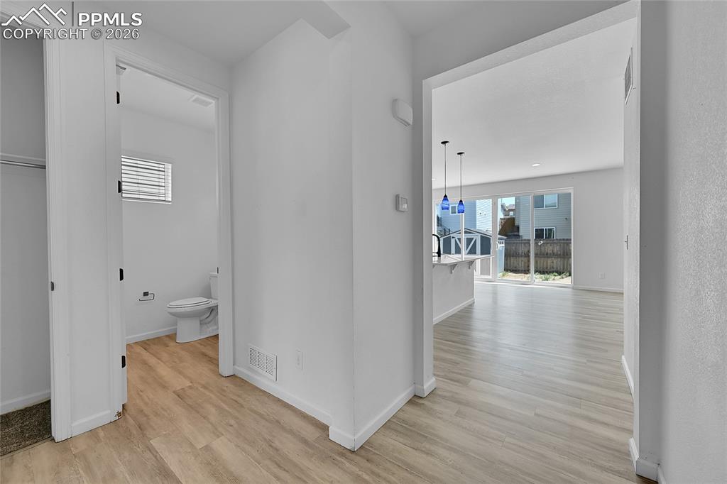 Image 4 of 34: Other