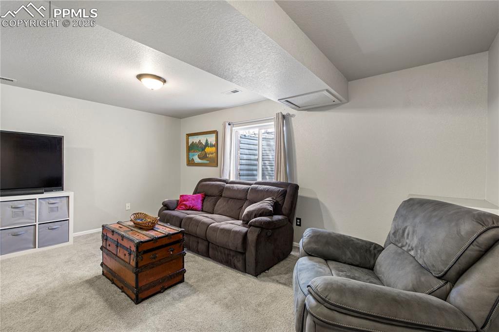 Image 18 of 27: Large family room in the basement