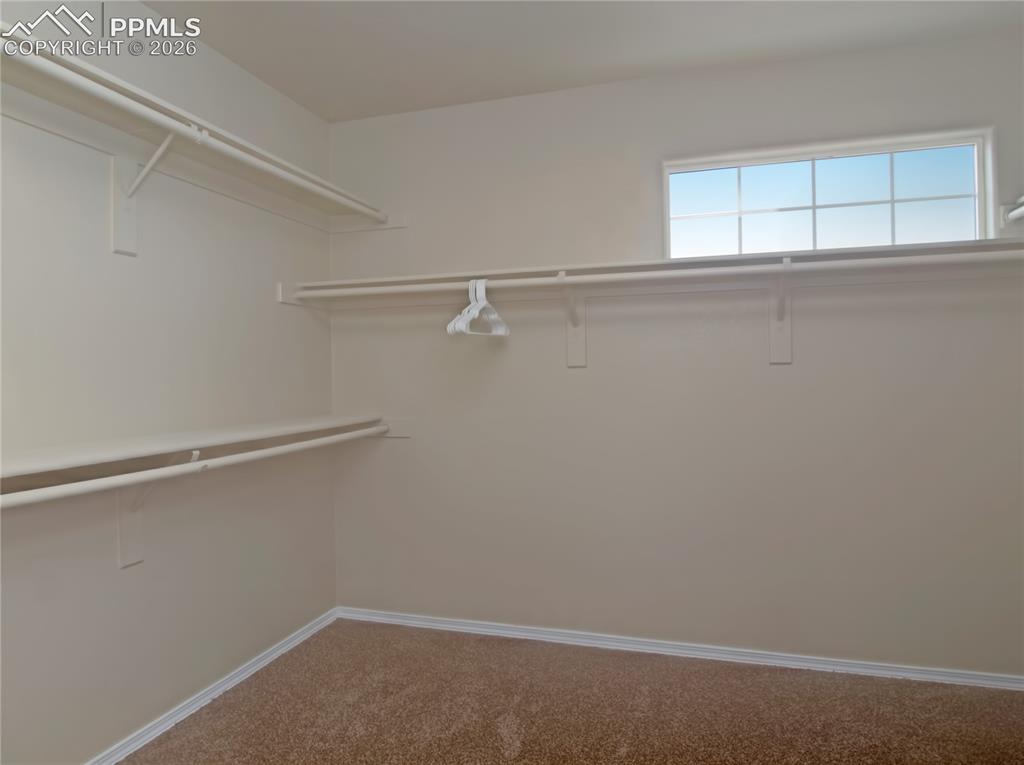 Image 21 of 25: Spacious closet featuring light carpet