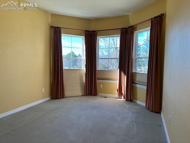 Image 19 of 21: Other