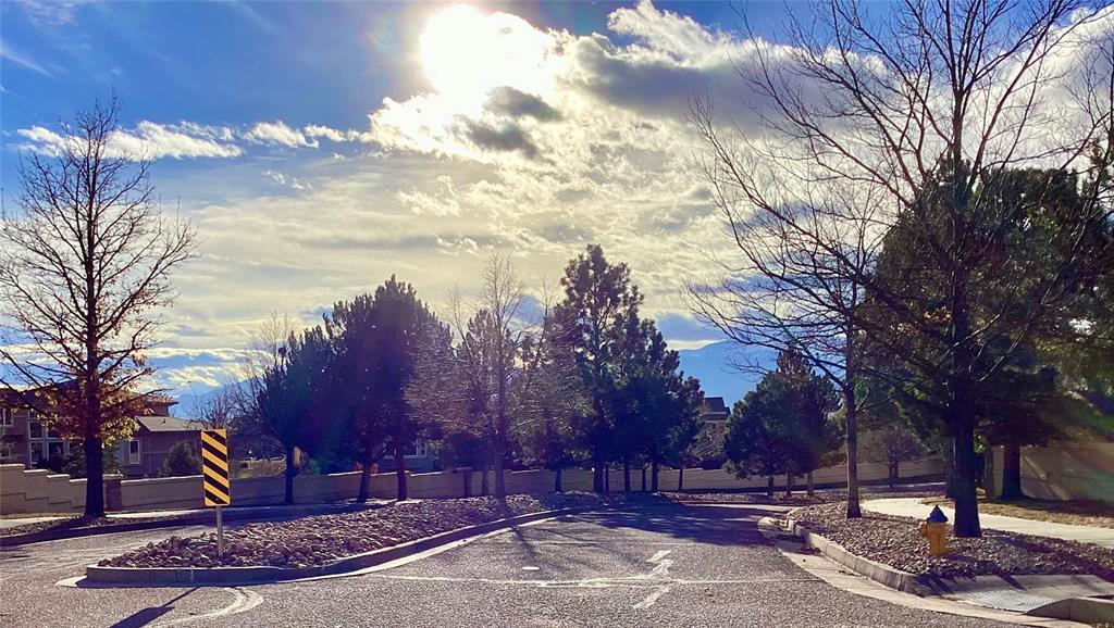 Image 2 of 10: Community