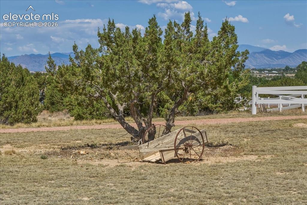 Image 48 of 50: Mature native landscaping and rustic accents complement the property