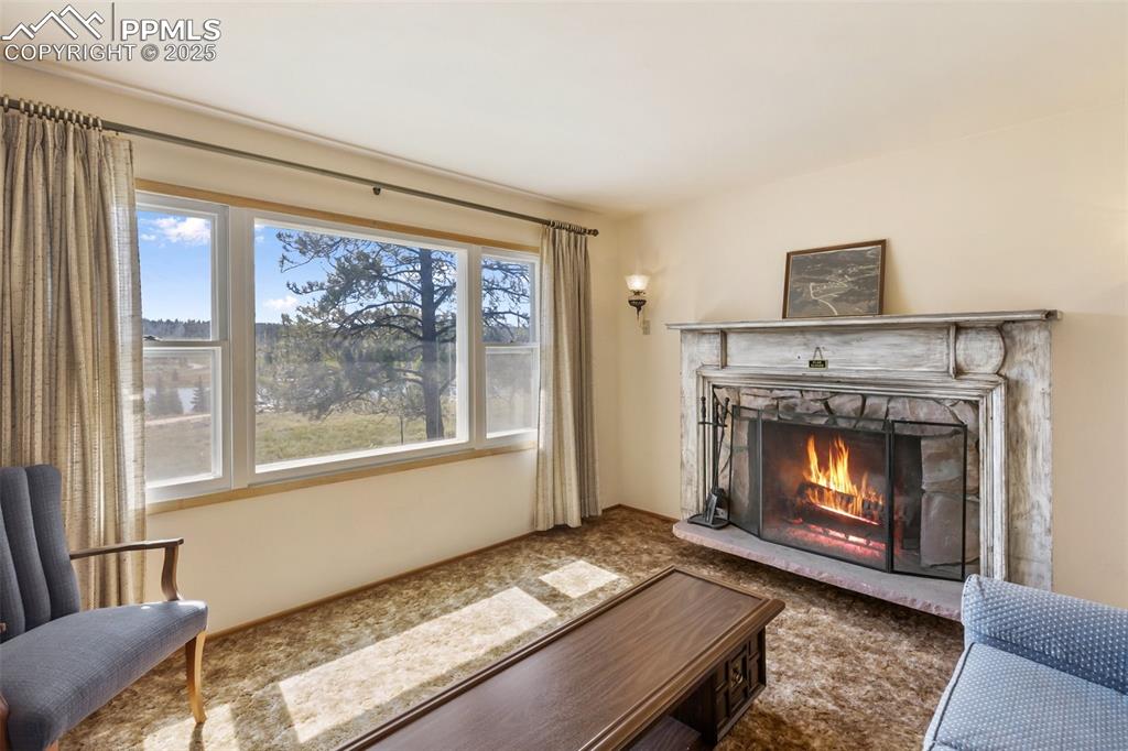 Image 14 of 45: Living Room