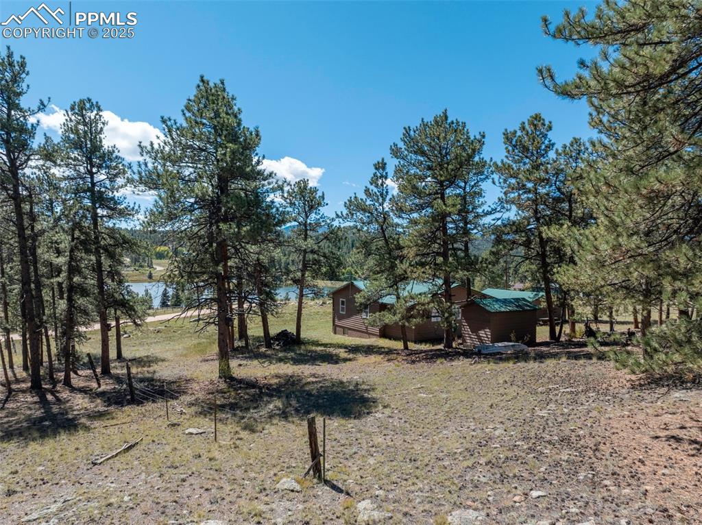 Image 42 of 45: Yard