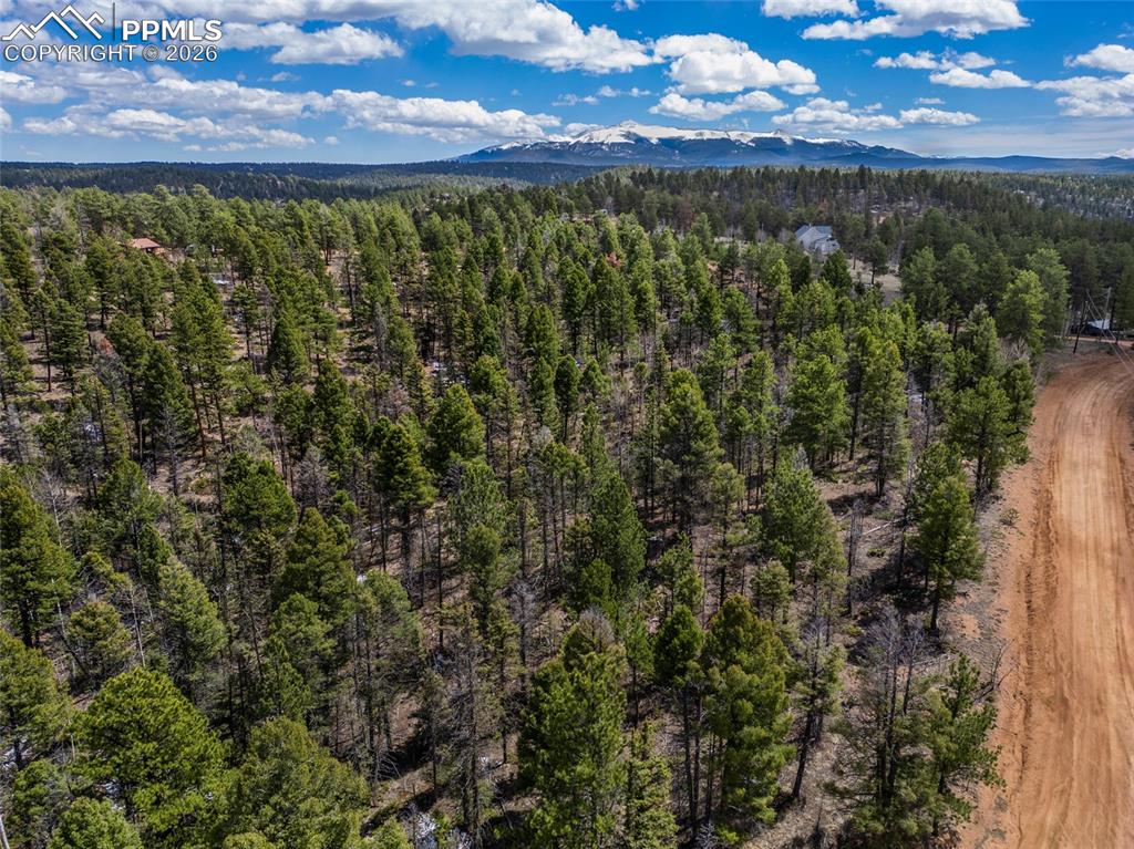 Image 5 of 10: Aerial View