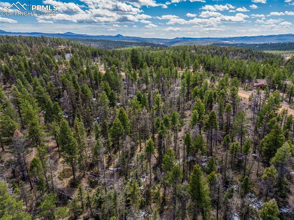 Image 8 of 10: Aerial View