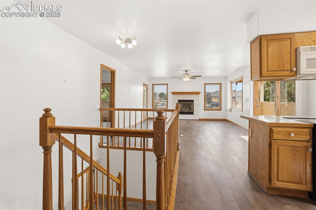 Image 11 of 37: Other