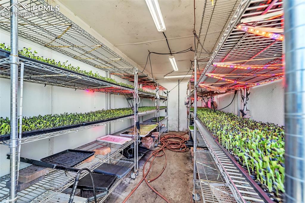 Image 17 of 44: Other