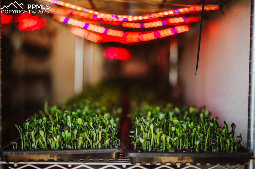 Image 19 of 44: Detailed view