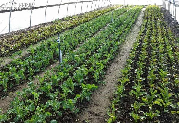 Image 24 of 44: View of yard with a garden, agricultural plots, and a view of rural / pasto