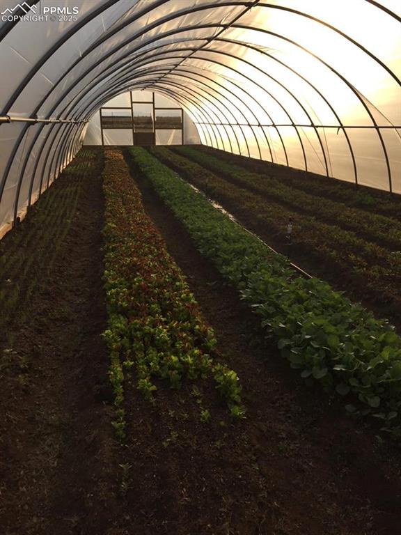 Image 27 of 44: Other