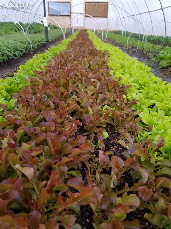 Image 31 of 44: Exterior view