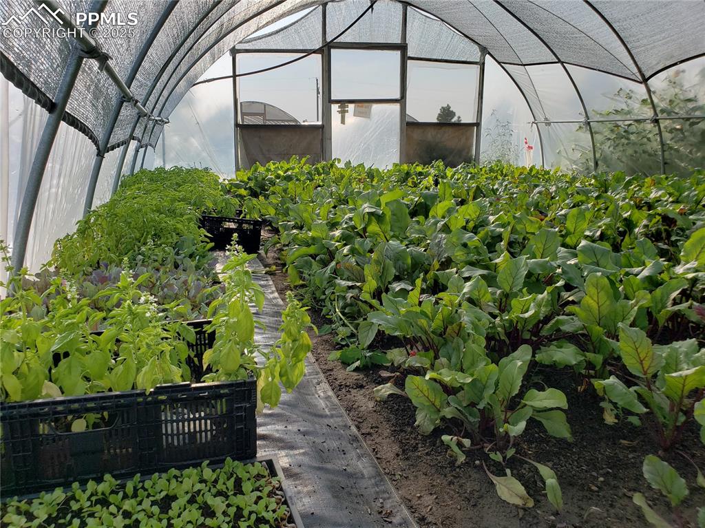 Image 35 of 44: Exterior view of a greenhouse