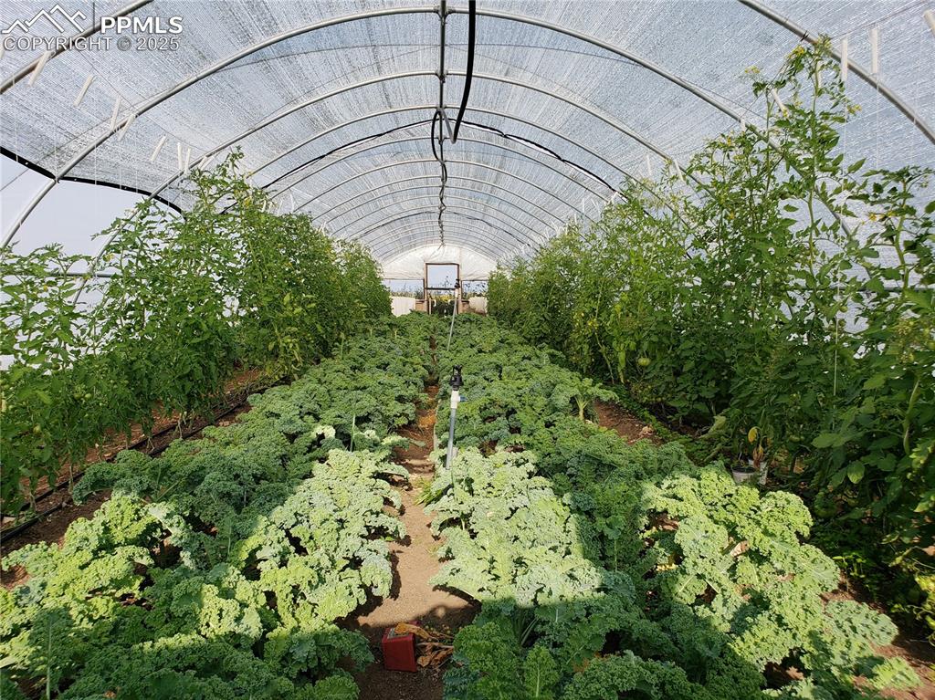 Image 36 of 44: Exterior view