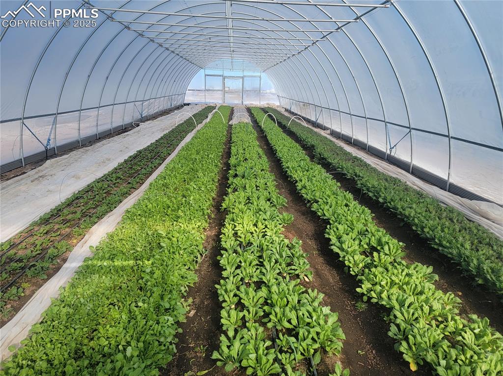 Image 37 of 44: View of community with an exterior structure