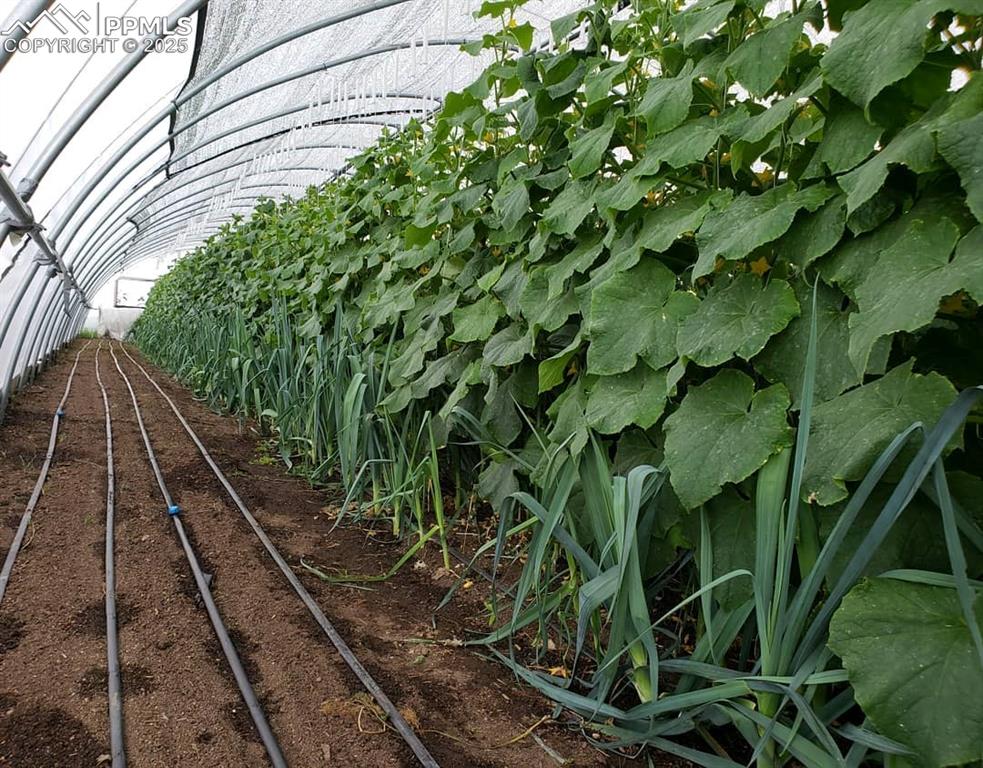 Image 38 of 44: Other