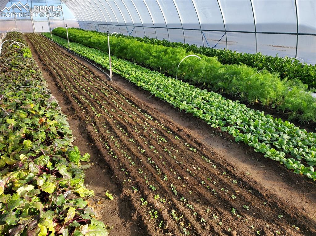 Image 40 of 44: Other