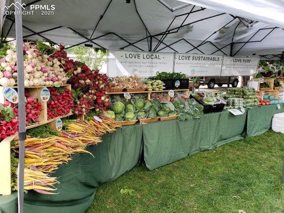 Image 41 of 44: Other