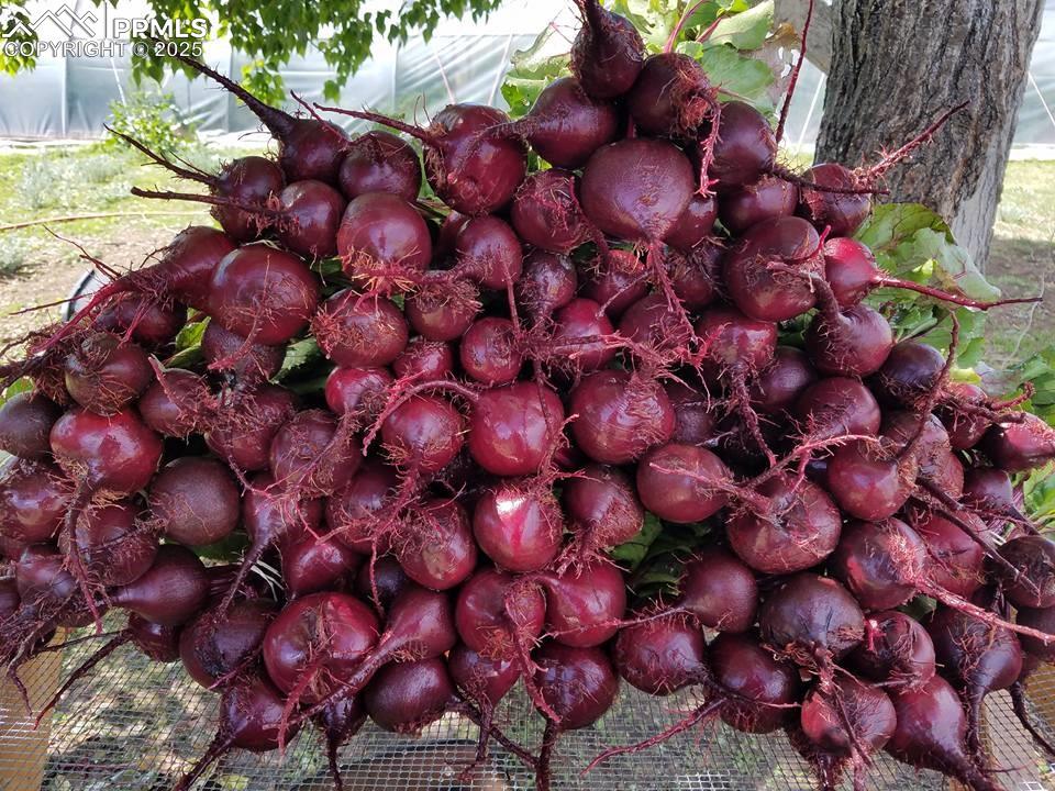 Image 44 of 44: Exterior view