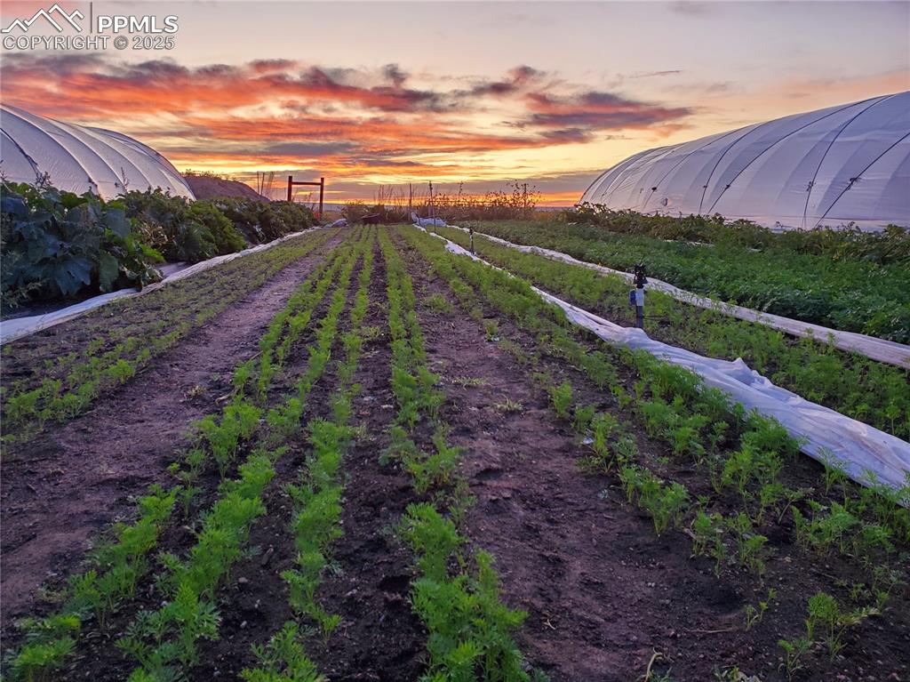 Image 6 of 44: Other