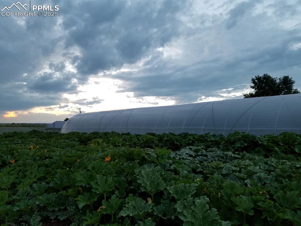 Image 8 of 44: View of mountain background