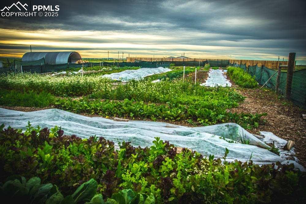 Image 9 of 44: Other