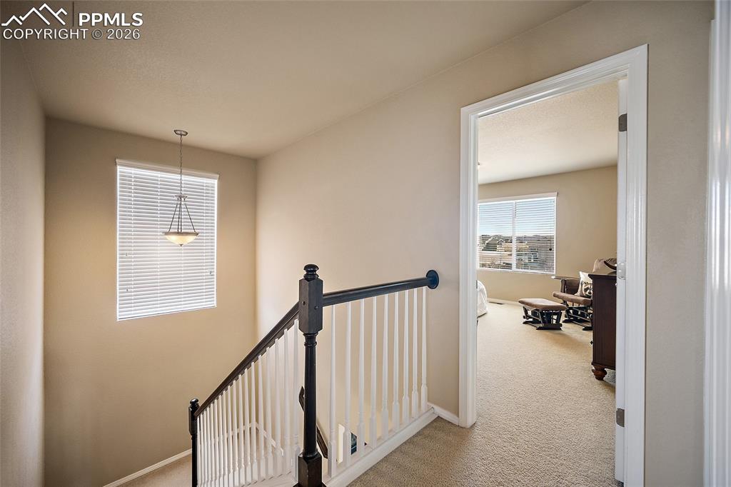 Image 18 of 47: Other