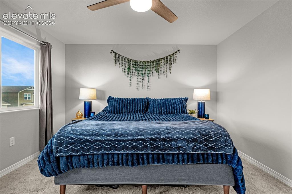 Image 38 of 46: Spacious bedroom with light gray walls, plush carpeting, a large window, a 