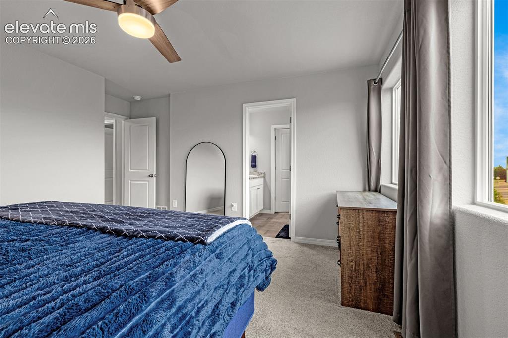 Image 39 of 46: Spacious bedroom featuring light gray walls, plush carpet flooring, and a m