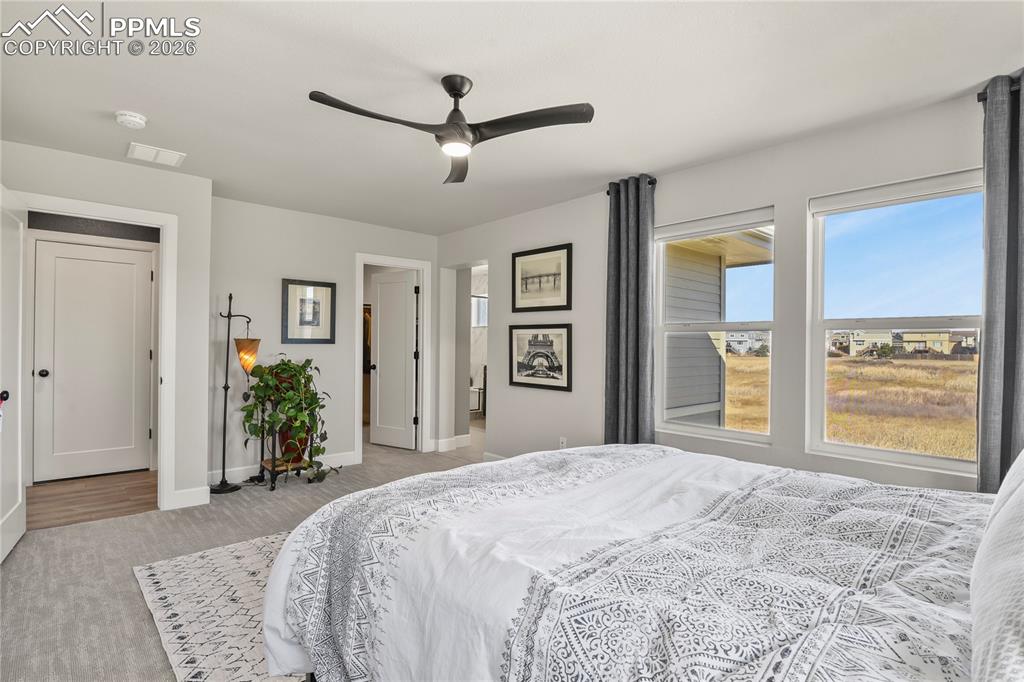 Image 17 of 27: Master Bedroom