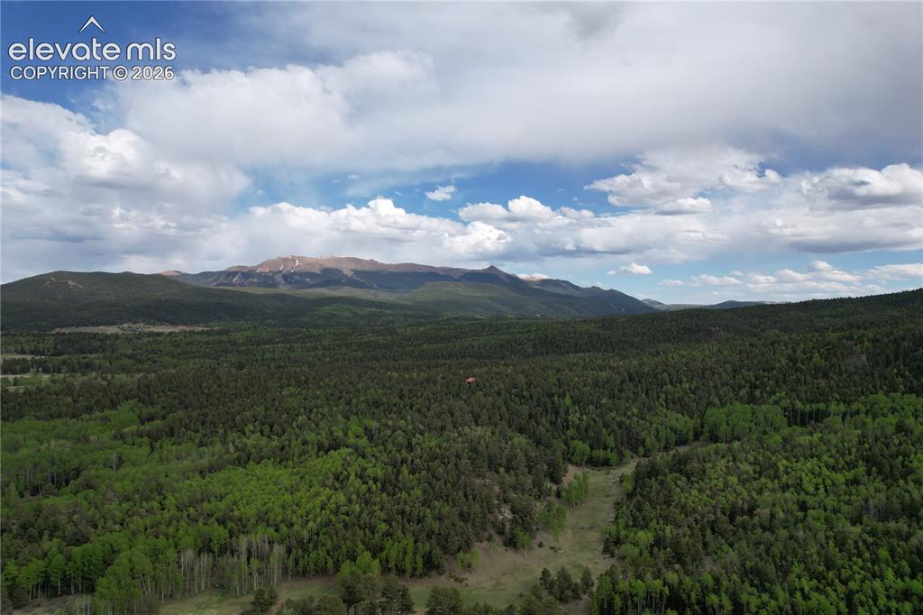 Image 24 of 29: Pikes Peak