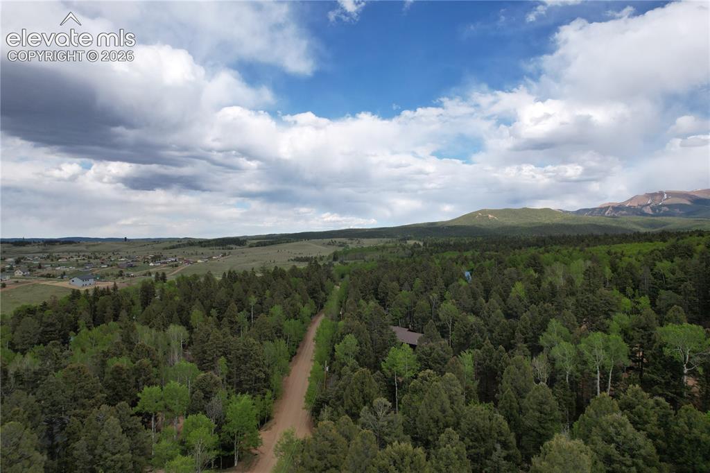 Image 25 of 29: Pikes Peak and Divide nearby