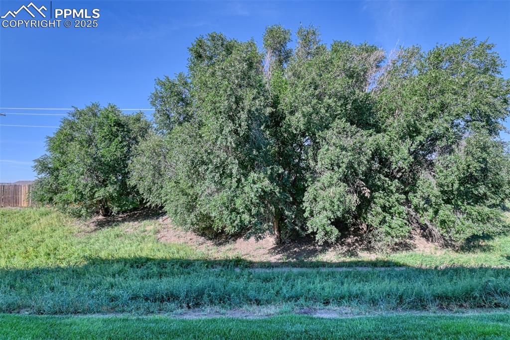 Image 22 of 24: Other